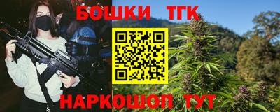 шишки Камышлов