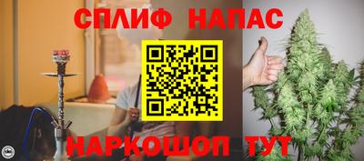 шишки Камышлов