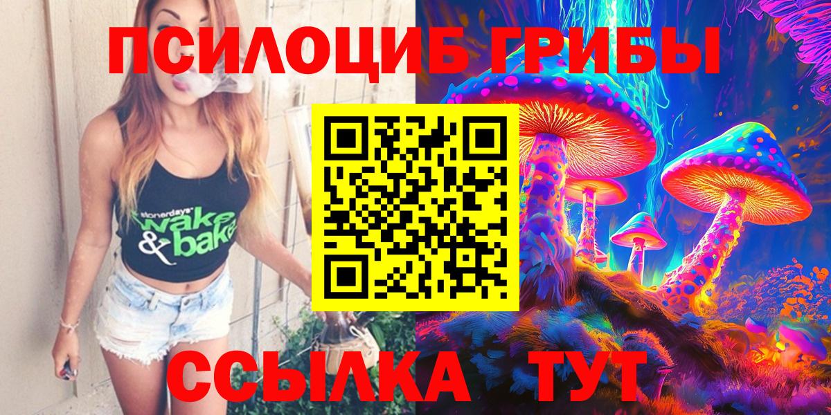 Галлюциногенные грибы Psilocybine cubensis Великий Устюг